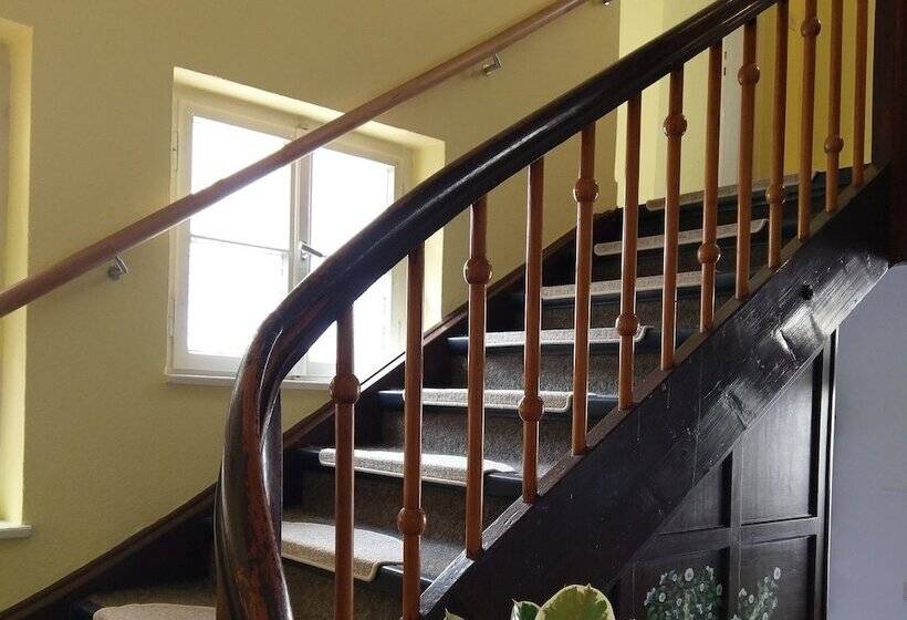 Hotel Stahlbad Bad Peterstal