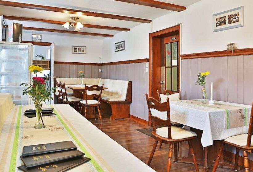 Hotel Stahlbad Bad Peterstal