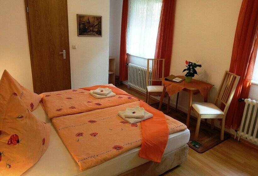 Hotel Stahlbad Bad Peterstal