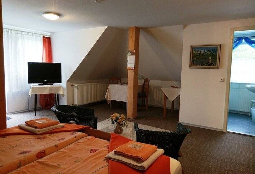 Hotel Stahlbad Bad Peterstal