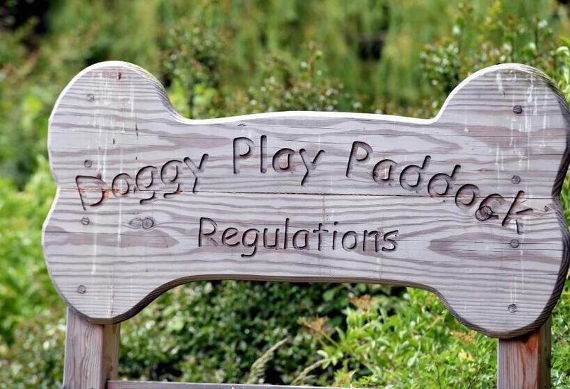 בית מלון כפרי The Greyhound Inn And