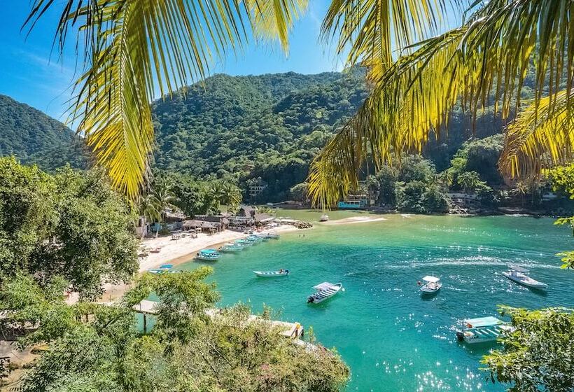 Отель Villa Armonia Luxury Suites