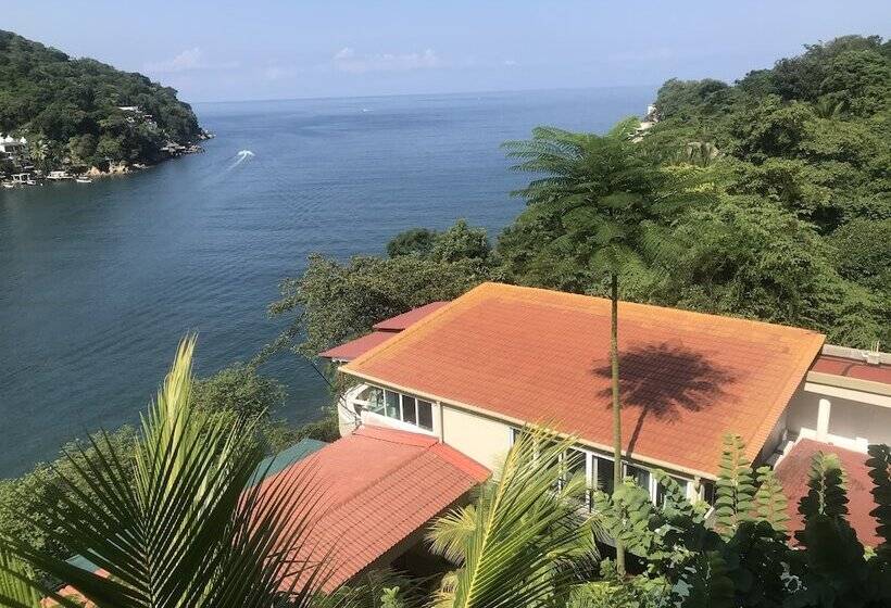 Отель Villa Armonia Luxury Suites