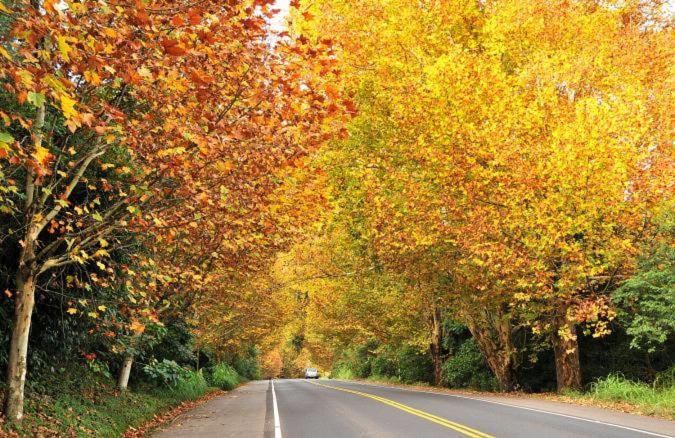 בית מלון כפרי Visão