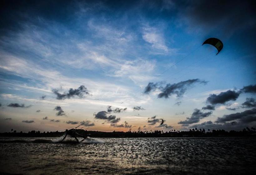 فندق صغير Freedom Kite House