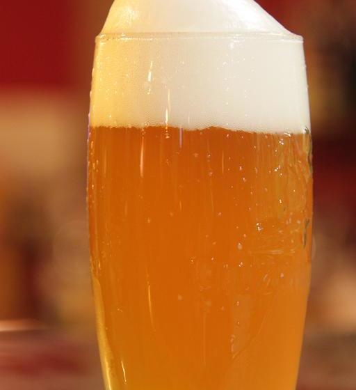 فندق صغير Freedom Kite House