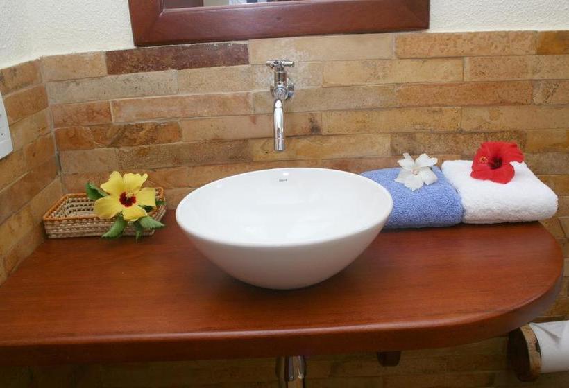 فندق صغير Freedom Kite House