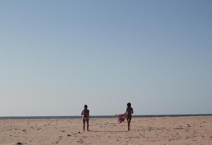 הוסטל Freedom Kite House