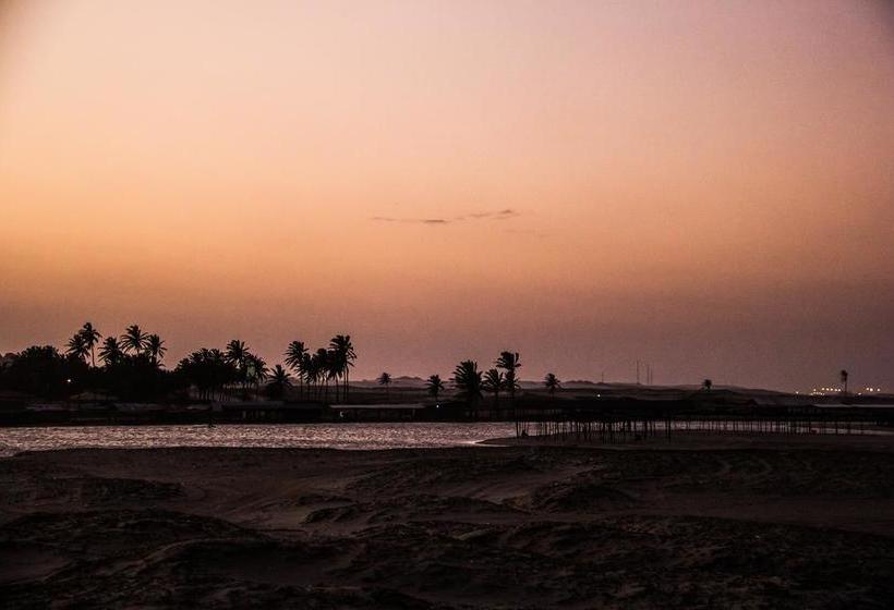 فندق صغير Freedom Kite House