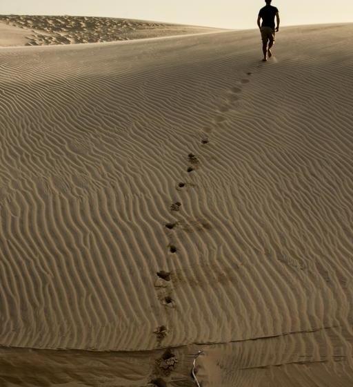 הוסטל Freedom Kite House