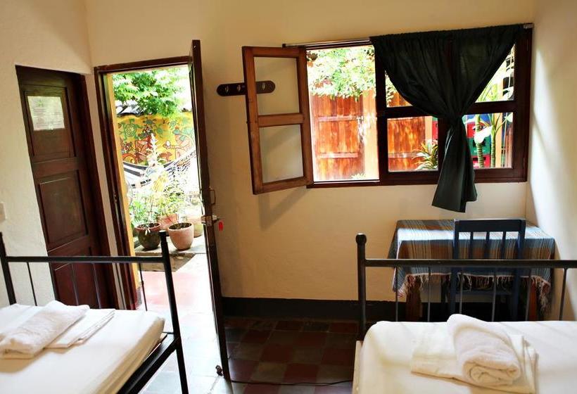 هاستل Hostal La Tortuga Booluda