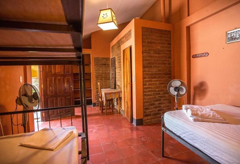 فندق صغير Hostal La Tortuga Booluda