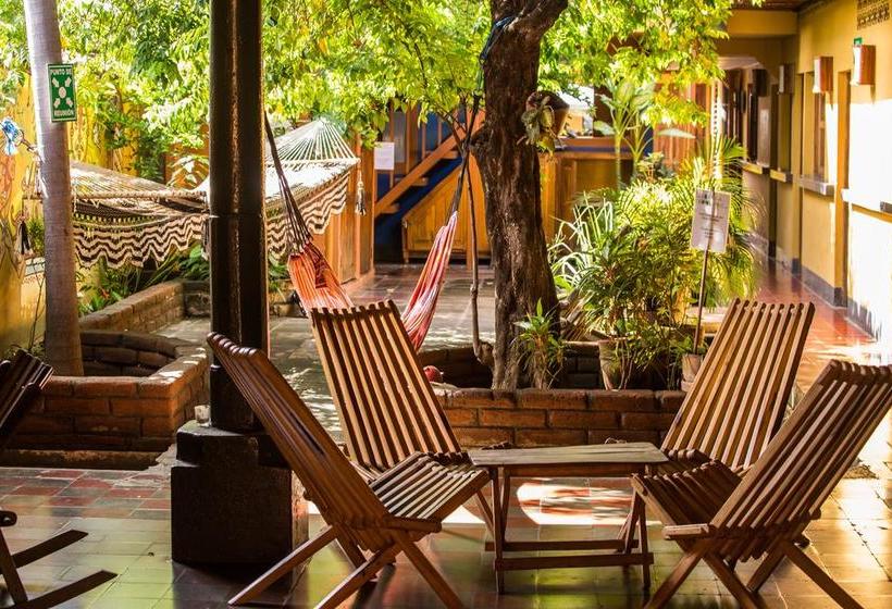 فندق صغير Hostal La Tortuga Booluda