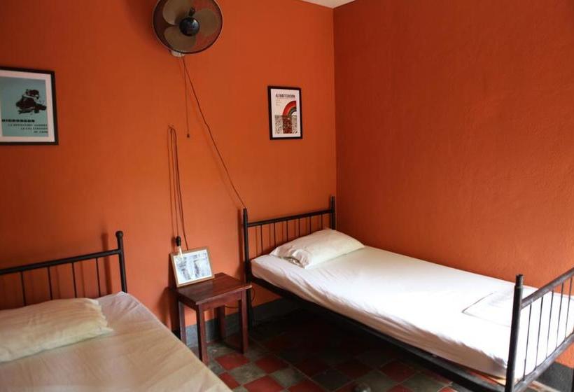 فندق صغير Hostal La Tortuga Booluda