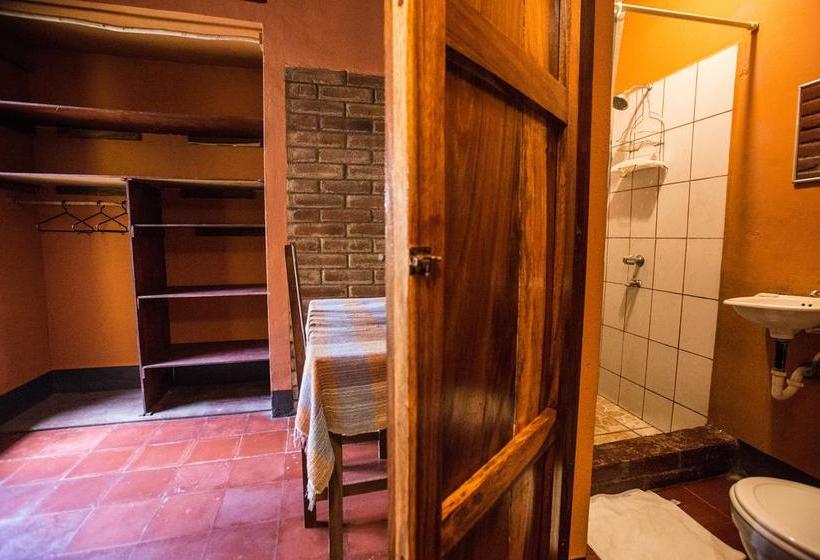 فندق صغير Hostal La Tortuga Booluda