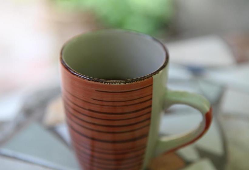 فندق صغير Hostal La Tortuga Booluda