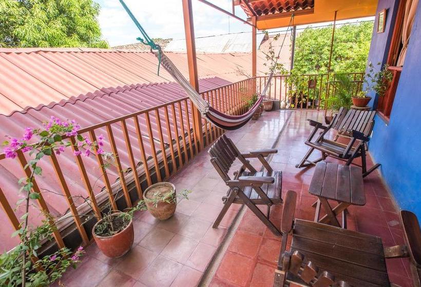 فندق صغير Hostal La Tortuga Booluda