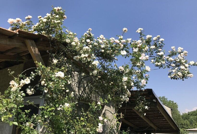 B&b By Lakes Orta Maggiore