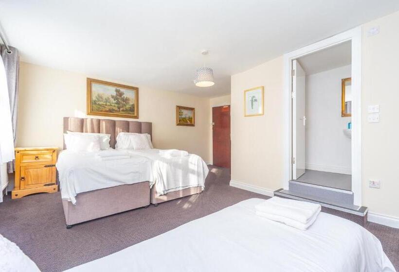 مبيت وإفطار Black Lion