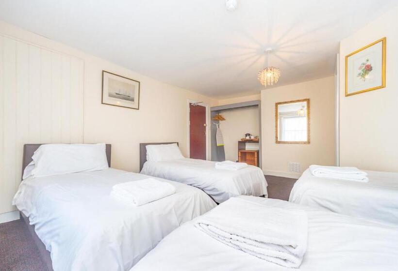 مبيت وإفطار Black Lion