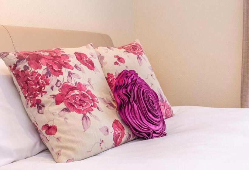 مبيت وإفطار Black Lion