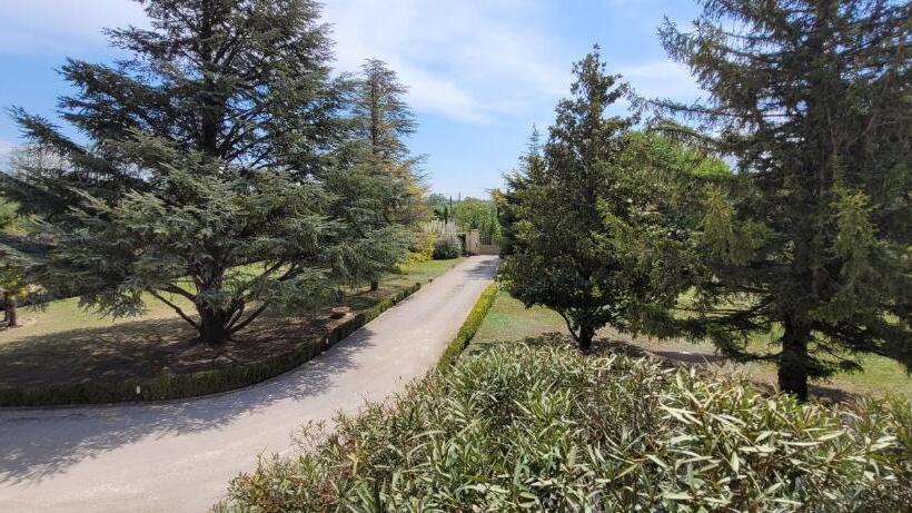 住宿加早餐  Villa Liberty