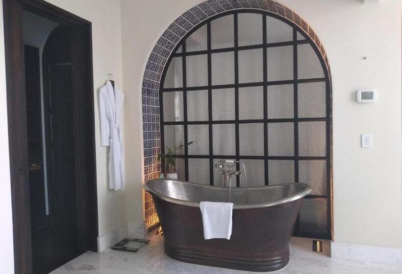 فندق Banyan Tree Puebla