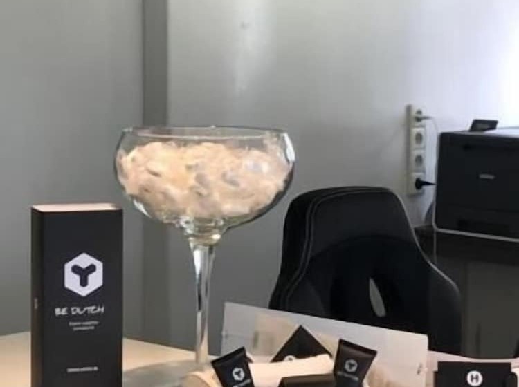 בית מלון כפרי Plein 10