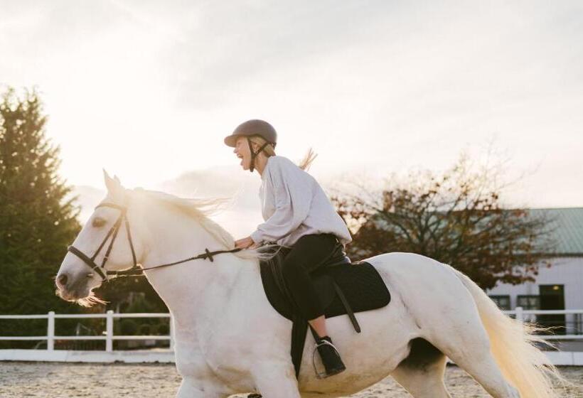 Отель Reiters Finest Family