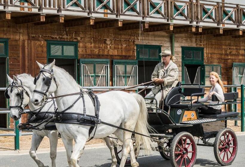 Отель Reiters Finest Family