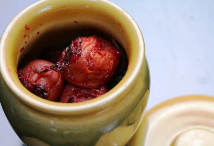 료칸 Minshuku Kojima