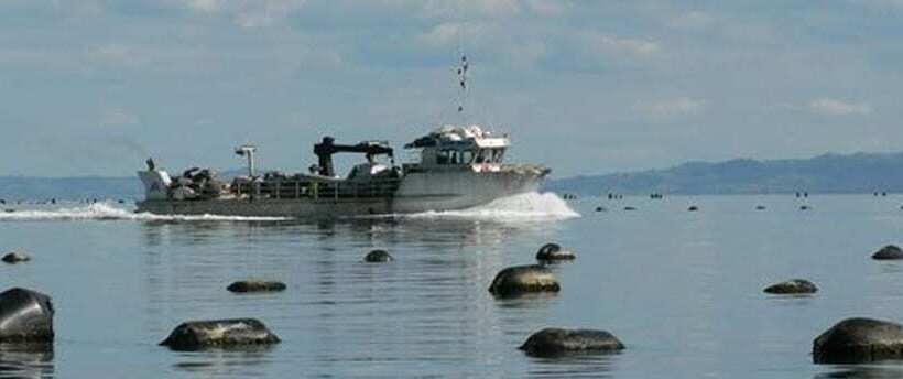 Tidewater Motel And Tourist Park   Hostel