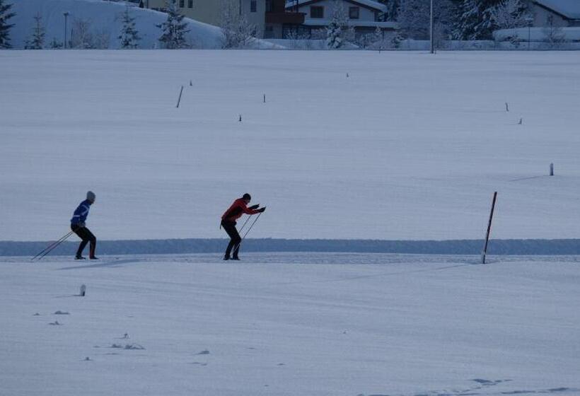 هاستل "0" Sterne Weisses Rössl In Leutasch/tirol