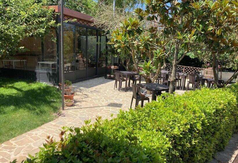 B&b Madonna Carradori