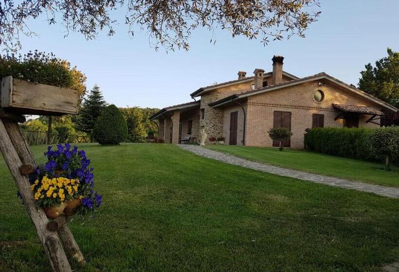 B&b Madonna Carradori