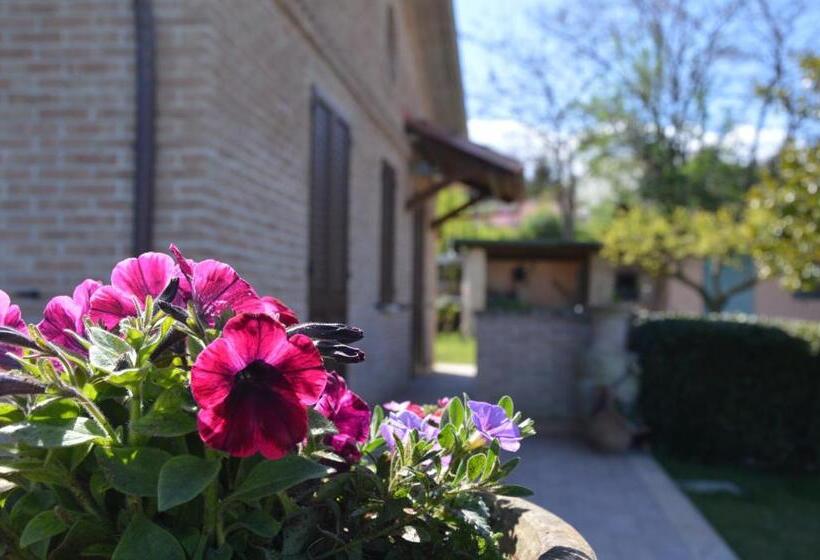 B&b Madonna Carradori