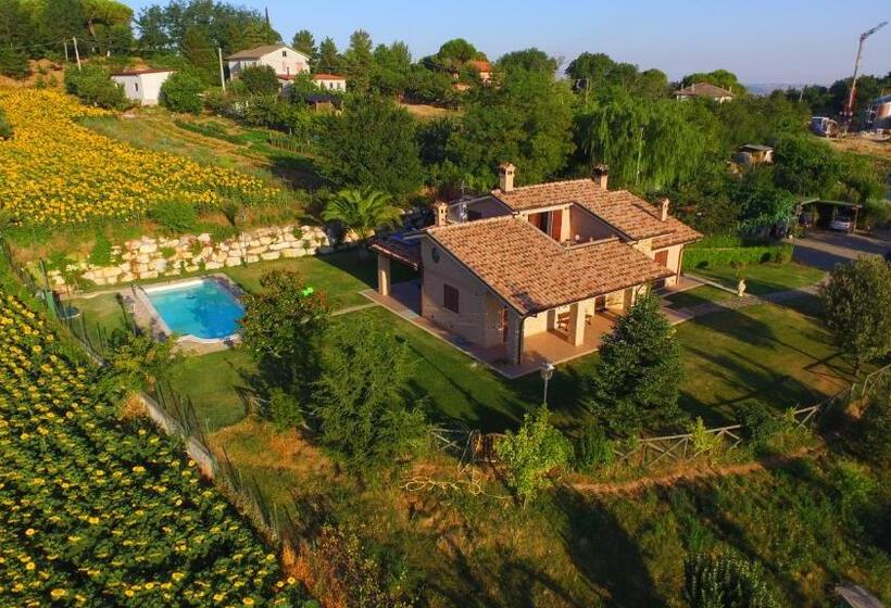 B&b Madonna Carradori