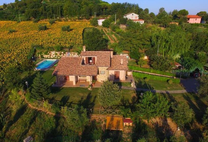 B&b Madonna Carradori