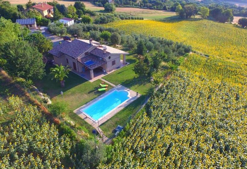 B&b Madonna Carradori