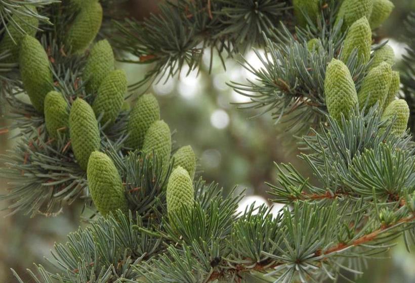 住宿加早餐  Le Jardin Des Erables