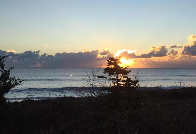 ベッドアンドブレックファースト South Bird Inn