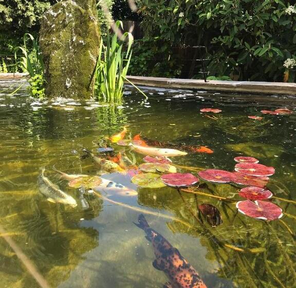 צימר Tresillian House