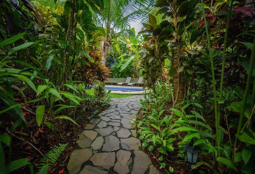 ベッドアンドブレックファースト Villas Oasis