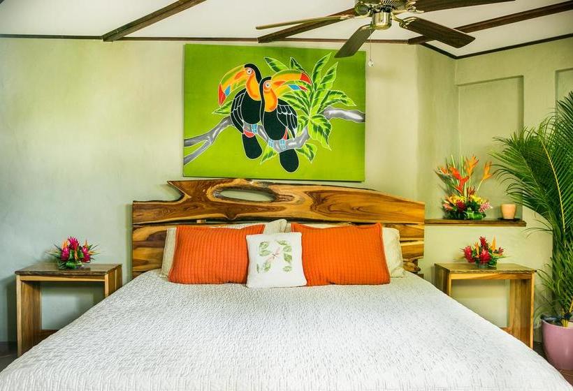 تختخواب و صبحانه Villas Oasis