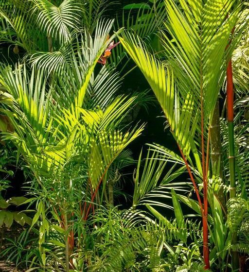 ベッドアンドブレックファースト Villas Oasis