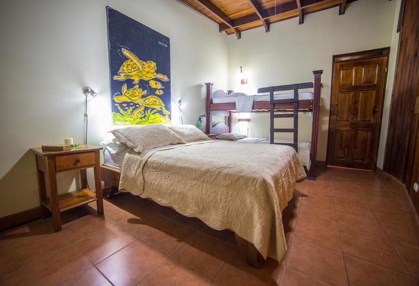 ベッドアンドブレックファースト Villas Oasis