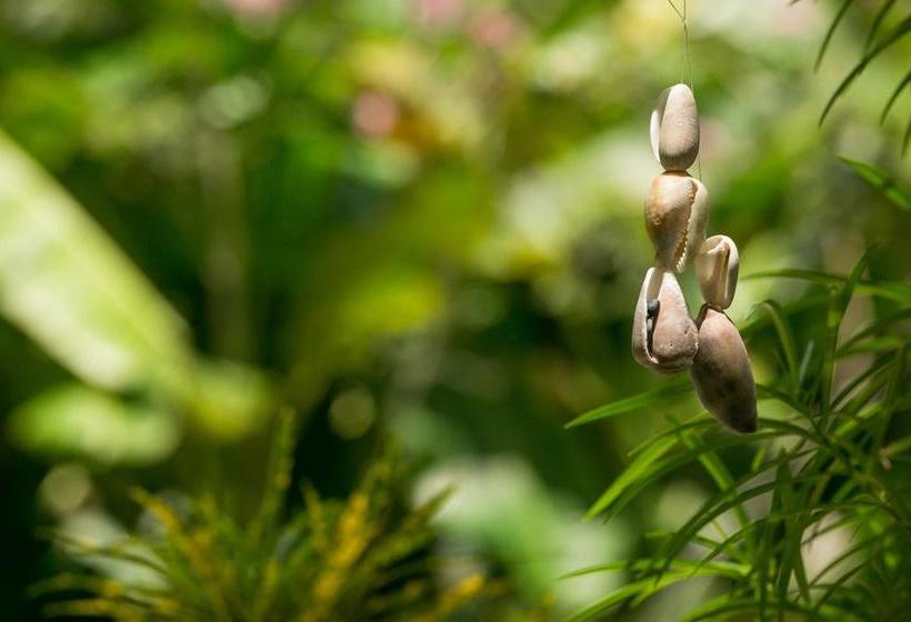 ベッドアンドブレックファースト Villas Oasis