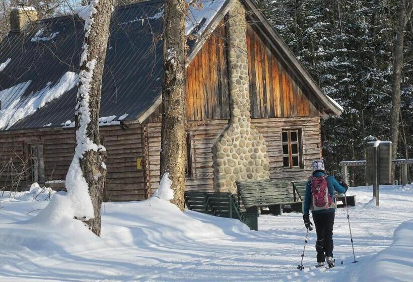 Gîte La Belle Aventure B&b