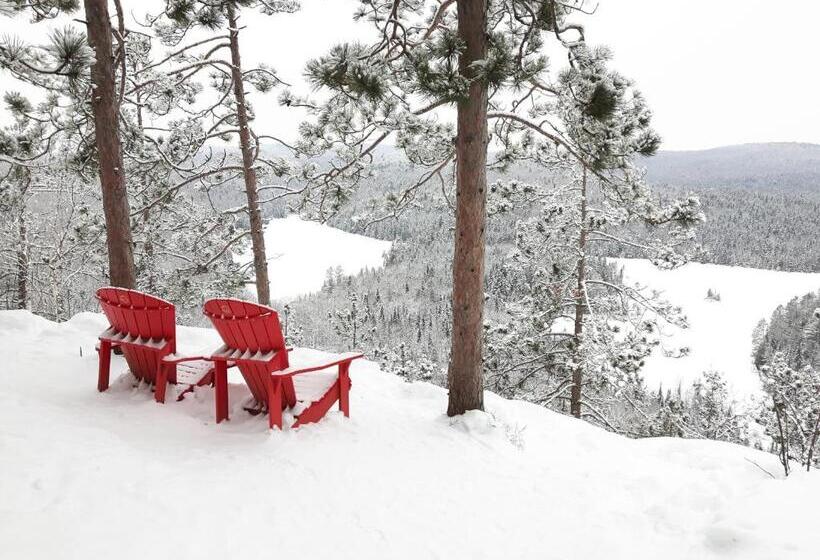 Gîte La Belle Aventure B&b