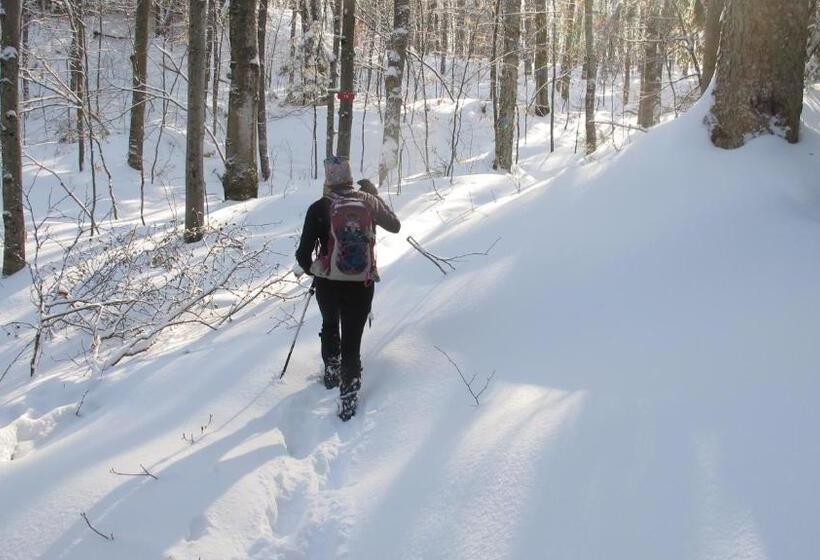 Gîte La Belle Aventure B&b